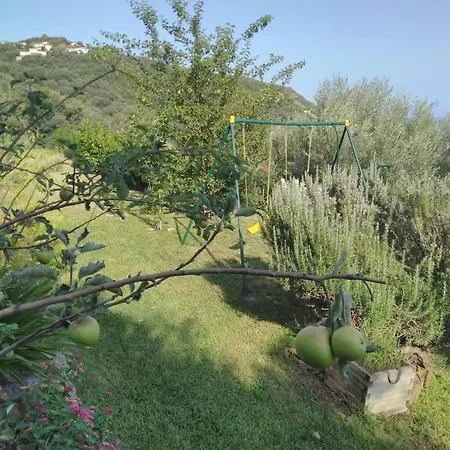 Uribellinu 2 度假居 Santa-Maria-di-Lota